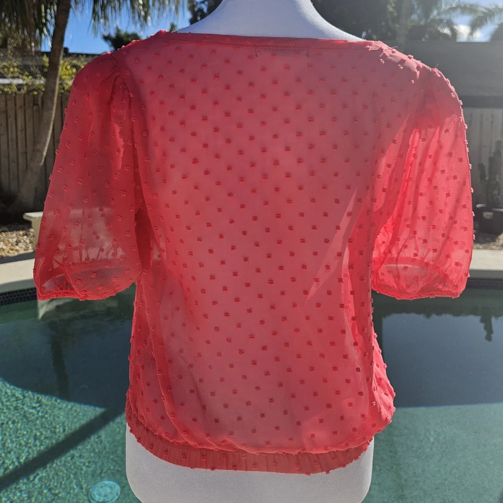 NEW Socialite Pink Sheer Blouse Size XS Feminine Romantic Cocquette Girl Summer - Picture 6 of 12